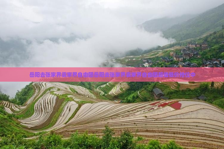 岳阳去张家界袁家界自由团