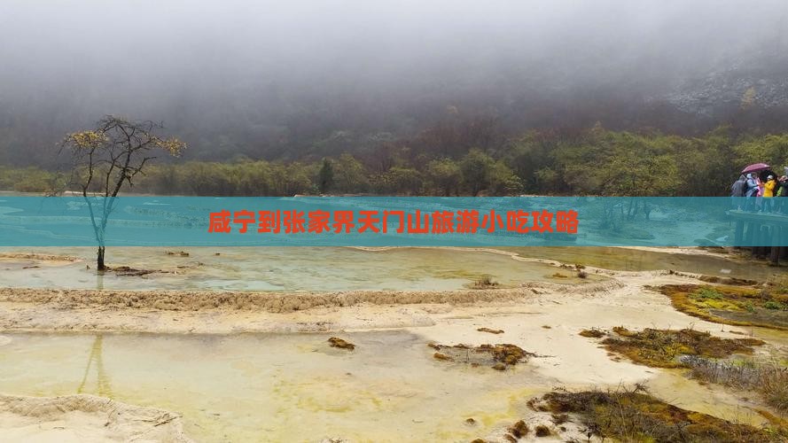咸宁到张家界天门山旅游小吃