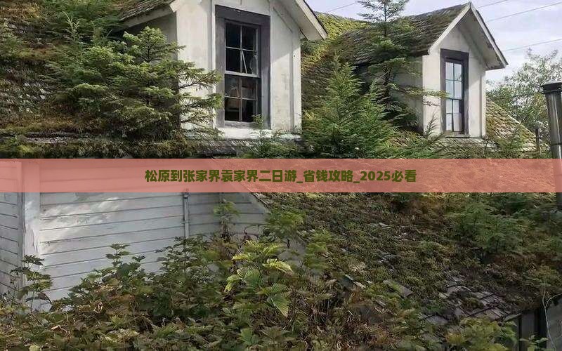 松原到张家界袁家界二日游