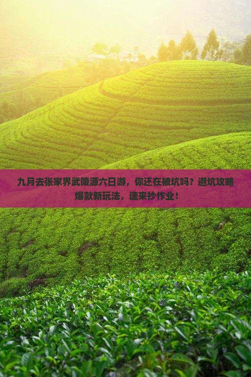九月去张家界武陵源六日游