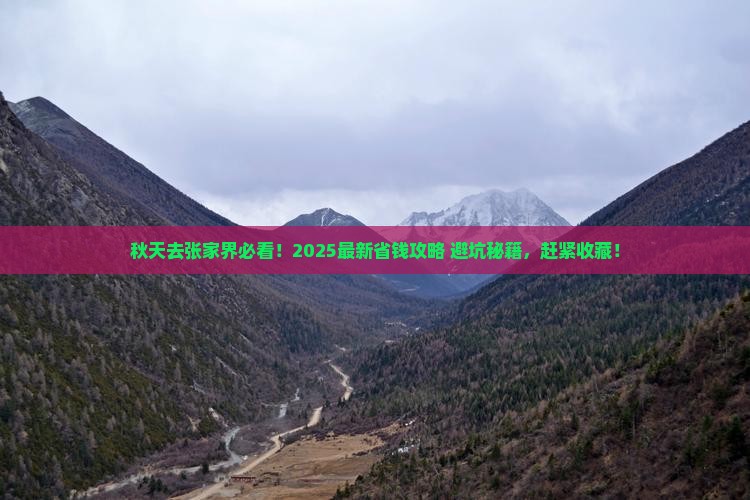秋天去张家界旅行社