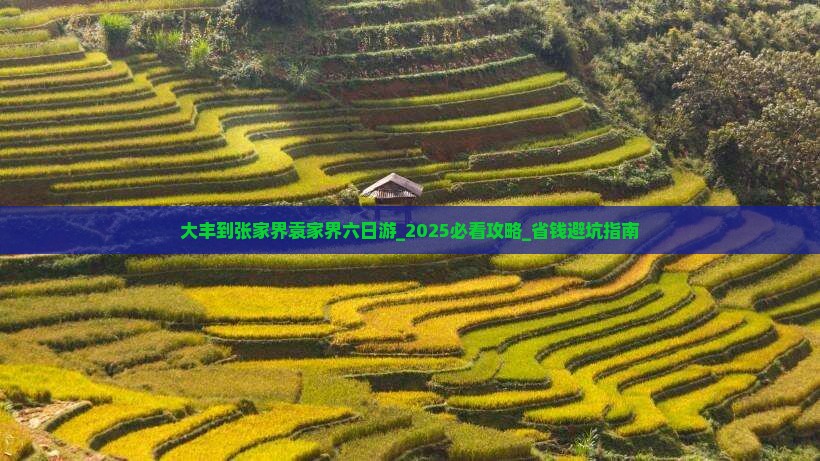 大丰到张家界袁家界六日游