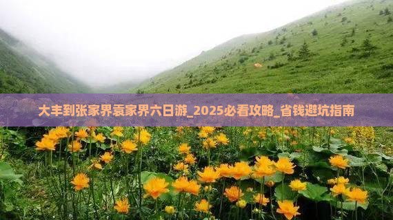 大丰到张家界袁家界六日游