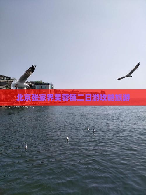 北京去张家界芙蓉镇二日游