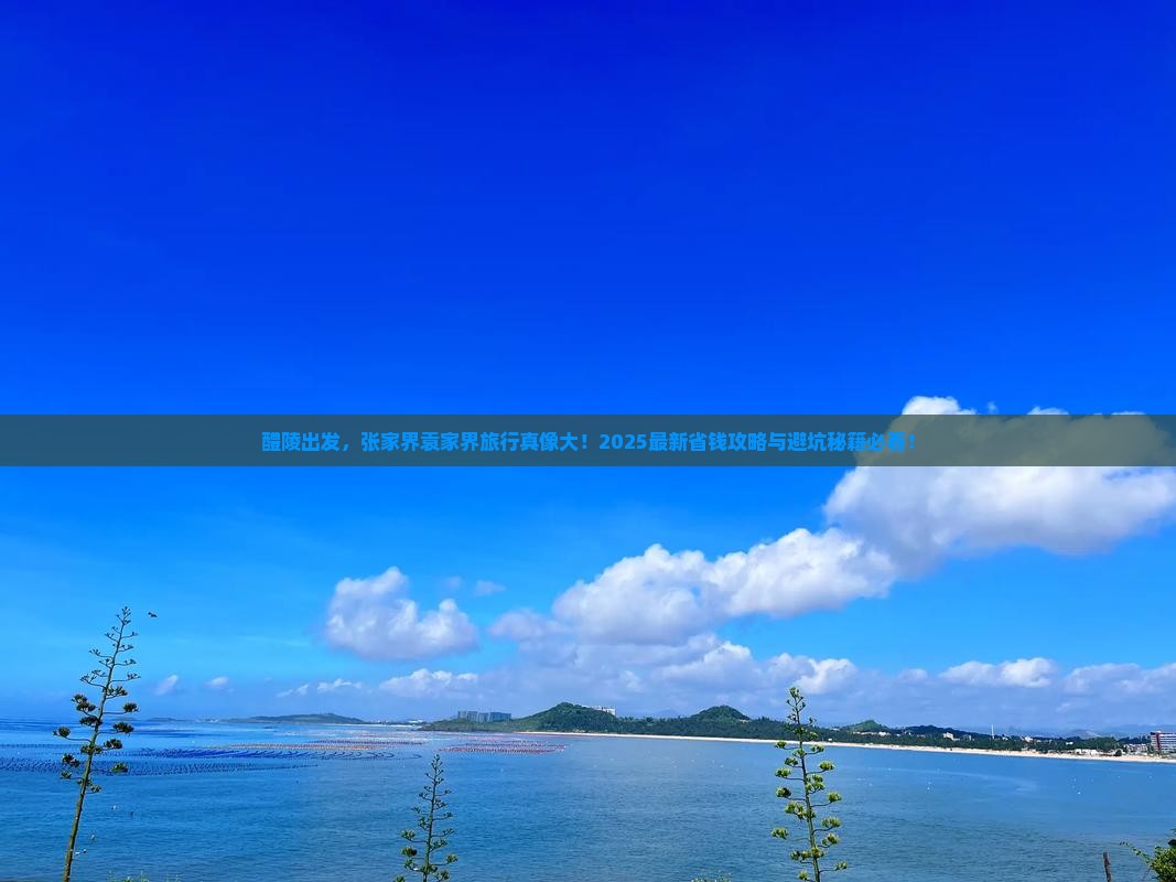 醴陵到张家界袁家界旅行社
