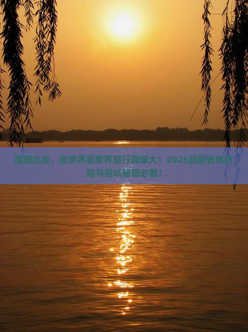 醴陵到张家界袁家界旅行社