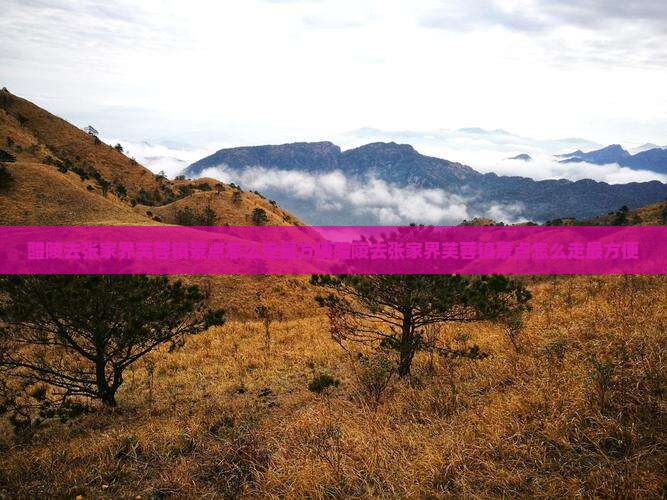 醴陵去张家界芙蓉镇景点