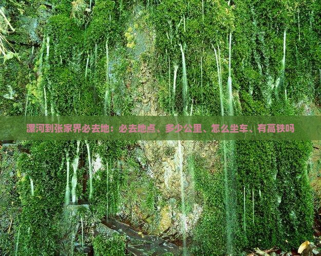 漯河到张家界必去地