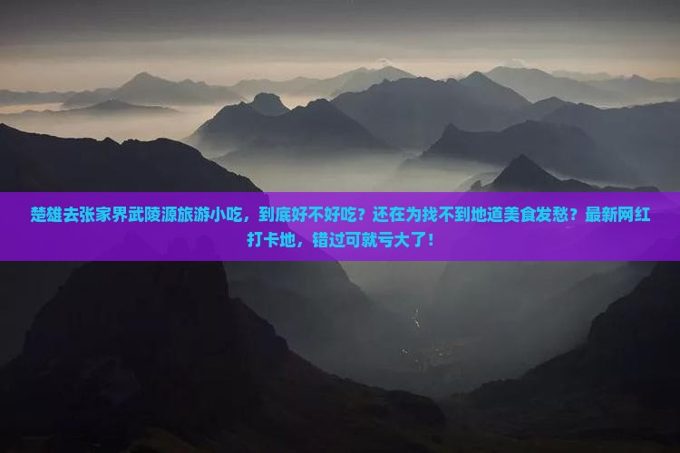 楚雄去张家界武陵源旅游小吃