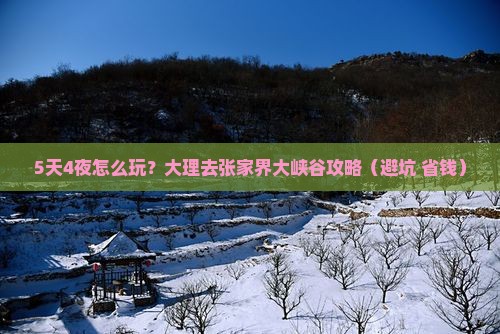 大理去张家界大峡谷攻略
