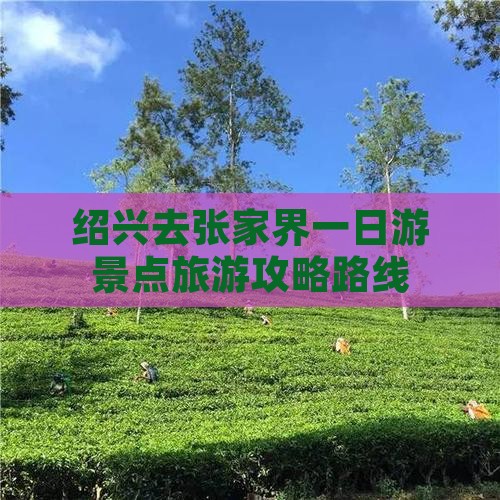 绍兴去张家界一日