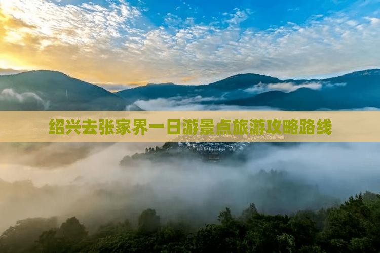 绍兴去张家界一日