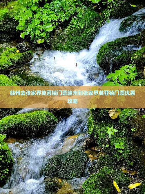 赣州去张家界芙蓉镇门票
