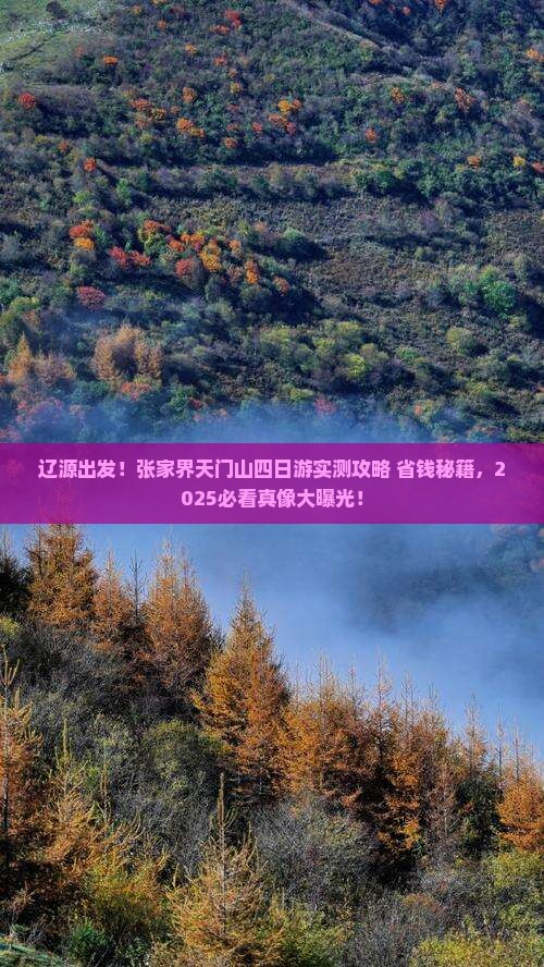 辽源去张家界天门山四日游