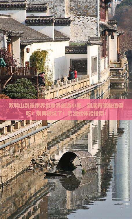 双鸭山到张家界袁家界旅游小吃
