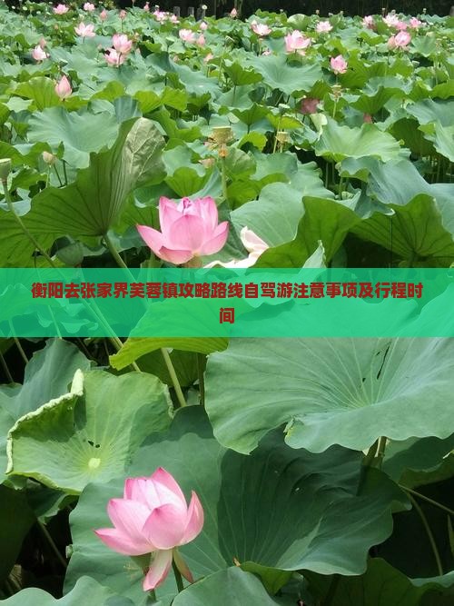 衡阳去张家界芙蓉镇攻略