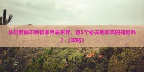 巴彦倬尔去张家界袁家界必去地