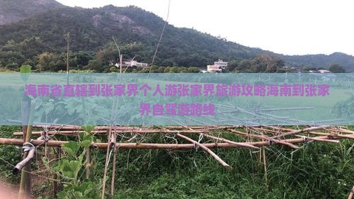 海南省直辖到张家界个人游
