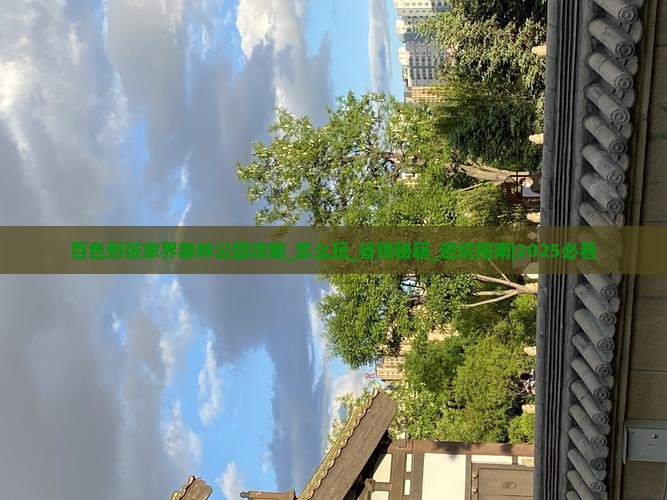 百色到张家界森林公园攻略