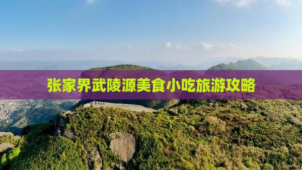 德州到张家界武陵源旅游小吃