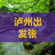 泸州去张家界天子山六日游