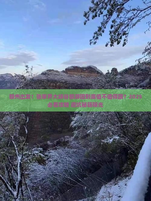 赣州去张家界大峡谷大型旅游团