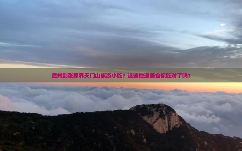 德州到张家界天门山旅游小吃