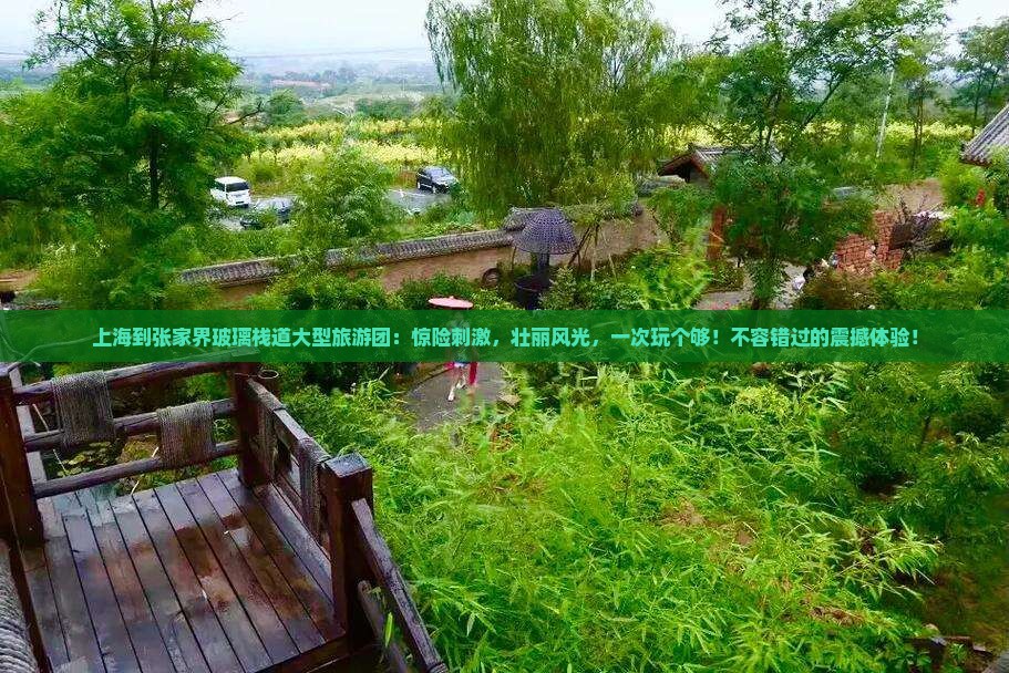 上海到张家界玻璃栈道大型旅游团