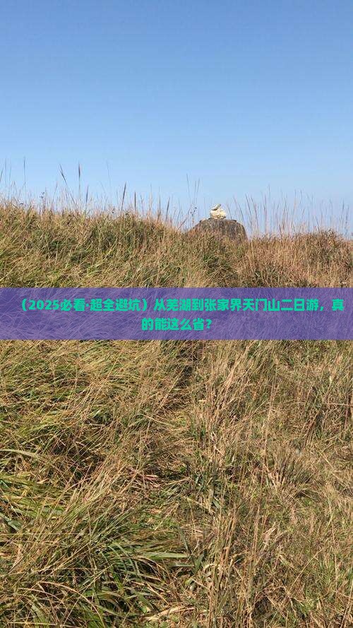 芜湖去张家界天门山二日游