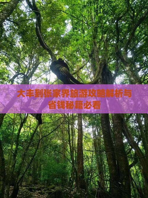大丰到张家界袁家界个人游