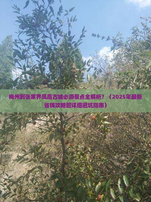 梅州到张家界凤凰古城必去地