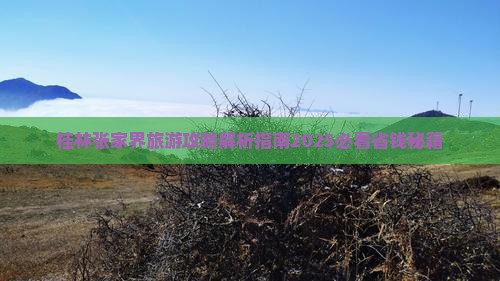 桂林去张家界团体旅游