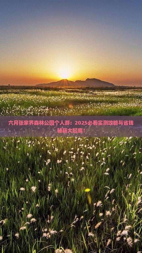六月到张家界森林公园个人游