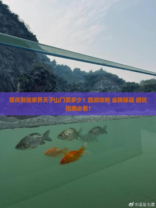肇庆到张家界天子山门票