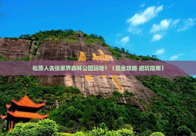 松原去张家界森林公园哪里玩