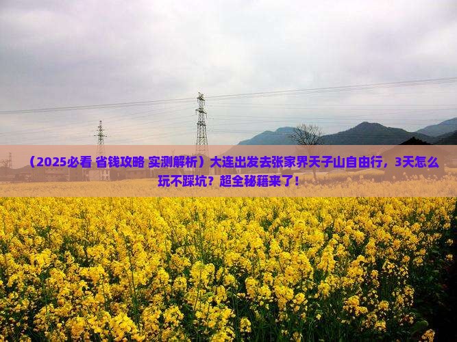 大连去张家界天子山自由行