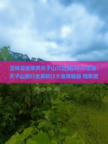 玉林去张家界天子山六日游