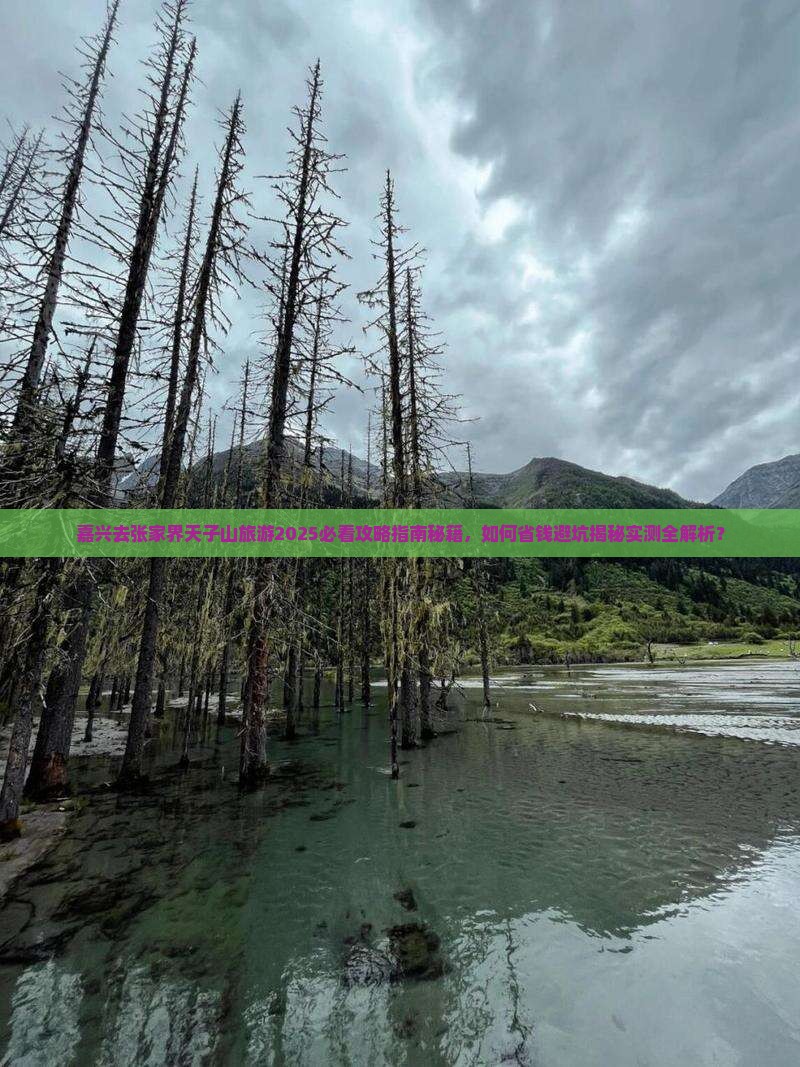 嘉兴去张家界天子山旅游