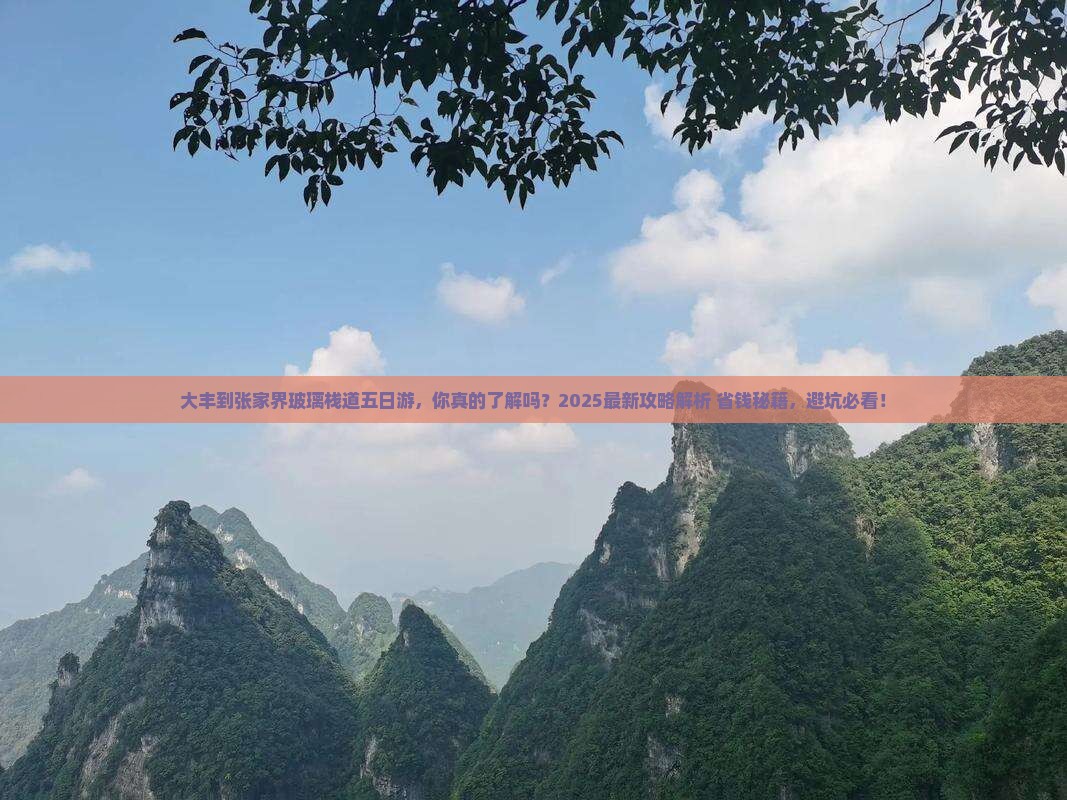 大丰到张家界玻璃栈道五日游