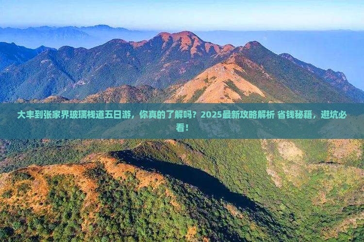 大丰到张家界玻璃栈道五日游