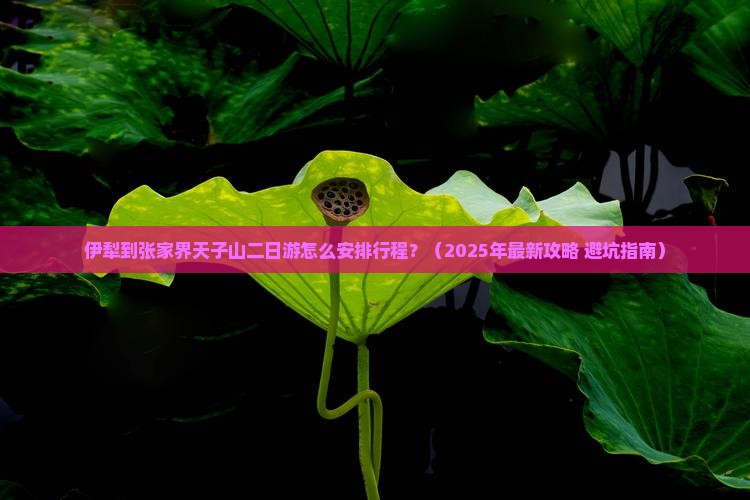 伊犁去张家界天子山二日游