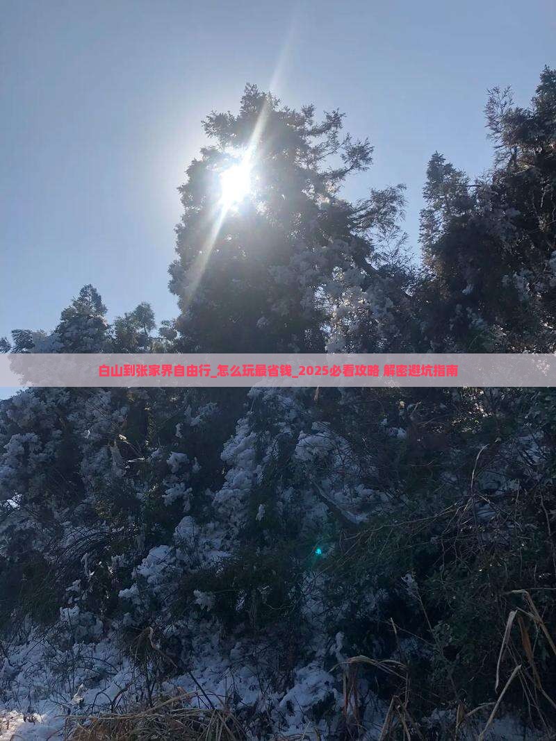 白山到张家界自由行