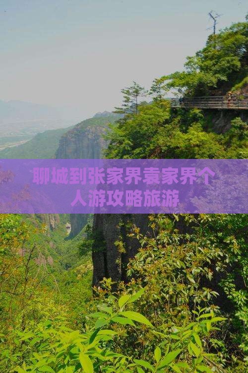 聊城到张家界袁家界个人游