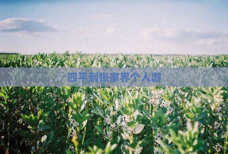 四平到张家界个人游