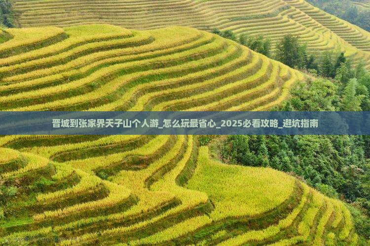 晋城到张家界天子山个人游