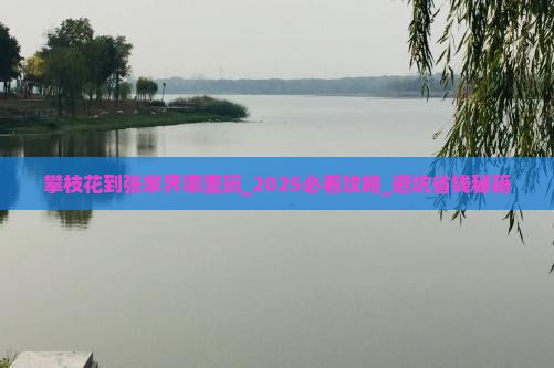 攀枝花到张家界哪里玩