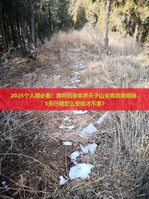 黄冈到张家界天子山个人游