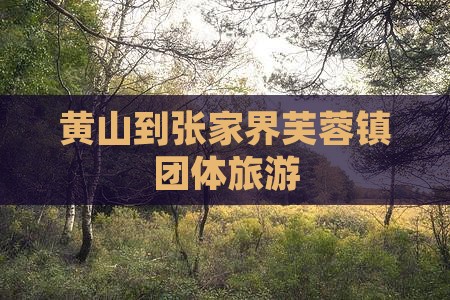 黄山到张家界芙蓉镇团体旅游