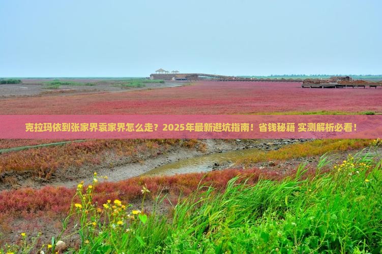 克拉玛依到张家界袁家界攻略