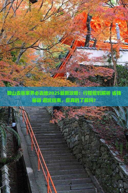 鞍山去张家界必去地